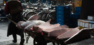 Tsukiji Fish Market